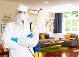Professional Rodent Control Plans for Healthy Living Spaces